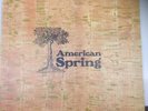 Spring - American Spring (LP, Album) (Near Mint (NM or M-))