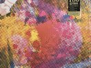 THE LITTER - $ 100 FINE Rare 1999 U.S. Get Hip VINYL GARAGE PSYCH LP NM/EX