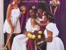 Big Daddy Kane - Long Live The Kane (LP, Album)