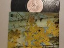 1970 USSR Melodiya LP 028137 Cello recital KNUSHEVITSKY Bach PARADISE Davydov