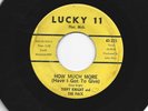 GARAGE FUZZ PUNK 45 - TERRY KNIGHT and THE PACK - HOW MUCH MORE - HEAR -LUCKY 11