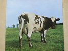 PINK FLOYD Atom Heart Mother UK vinyl LP in gatefold sleeve Harvest EX