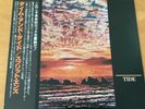 SPLIT ENZ TIME AND TIDE JAPAN LP OBI AMP-28052 PROMO