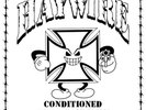 Haywire - Conditioned for Demolition LP CONSERVATIVE MILITARY IMAGE SLAPSHOT SSD