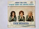 RARE BRIAN WILSON - THE HONEYS - SHOOT THE CURL / SWANEE RIVER - PICTURE SLEEVE