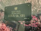 Sleep Token Even In Arcadia Tour/Arcadia Emporium Exclusive Vinyl NEW/SEALED
