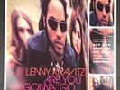 Lenny Kravitz Are You Gonna Go My Way LP Clear  Vinyl -  w/ Bonus CD and Insert