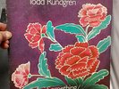 Todd Rundgren - Something/Anything? vinyl 2 record set 2BX 2066 Bearsville 1972