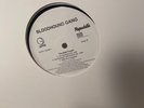 Bloodhound Gang - The Bad Touch SUPER RARE Promo Remixes HGeffen 12