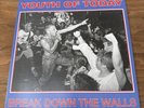 Break Down the Walls by Youth of Today BLUE VINYL RARE NYHC Revelation
