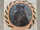 Florence And The Machine Dance Fever Picture Disc Vinyl
