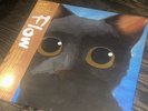 Flow Original Motion Picture Soundtrack 2LP Floodwater Green Double Vinyl 140g