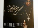 Big L The Big Picture  (1974 - 1999) Vinyl Record 2LP Original Press 2000 VG+