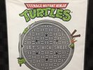 NEW Teenage Mutant Ninja Turtles LET'S KICK SHELL Soundtrack Vinyl GREEN + WHITE