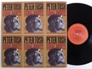 PETER TOSH Equal Rights COLUMBIA LP VG+ s