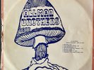 The Allman Brothers Band Vinyl Record Blues Rock LP Live At Nassau Album