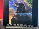 The Stranglers - The Raven vinyl VG+ Lenticular Sleeve w/ banned inner sleeve
