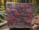 Sleep Token - Even In Arcadia NEW Vinyl