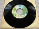 Fleetwood Mac 45 RPM 7” Vinyl - Silver Springs/Go Your Own Way - WBS 8304 Tested