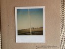 65DAYSOFSTATIC RADIO PROTECTOR, LTD  NUMBERED 7