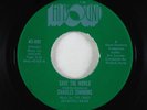 Funk 45 - Charles Simmons - Save The World - Hitsound VG+