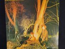 Crocodiles [LP] Echo And The Bunnymen 1980 Vintage Rock Vinyl US 1st Press NM