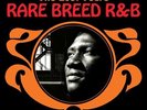 RARE BREED R&B The Lost Years -New & Sealed LP Vinyl (Outta Sight) Northern Soul