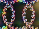 Tool - Lateralus - Double LP Album - Vinyl Picture Disc Limited Edition - * NM *