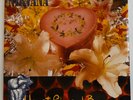 NIRVANA Heart-Shaped Box/Marigold UK GFS 54  7