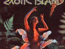 The Surfmen - The Sounds Of Exotic Island (LP) (Very Good Plus (VG+)) - 38840895