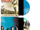 Dishwalla 