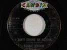 Rockabilly 45 - Sonny Wilson - I Ain't Giving Up Nothin'/Troubled Times - Candix