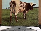 PINK FLOYD - ATOM HEART MOTHER LP/Vinyl Gatefold Harvest SKAO-382 / 1970 NM
