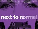 Alice Ripley Next To Normal Original Broadway Cast Recording 2024 Remix  (Vinyl)