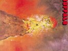 buffalo: volcanic rock  LP