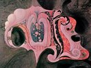 quill: quill (coloured)  LP
