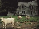 Pride & Glory - Pride & Glory (Record)