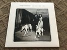 VAN MORRISON DAYS LIKE THIS VINYL RECORD LP RARE 1995 UK IMPORT