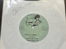GG Allin Public Animal Number 1 Vinyl Signed And Owned By Chris Lamy With COA