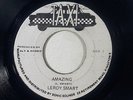 Leroy Smart 