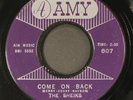 SHEIKS: come on back / please don't take away the girl i love AMY 7