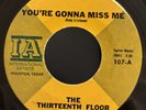 THIRTEENTH FLOOR ELEVATORS Tried To Hide You're Gonna Miss Me NM  45 IA