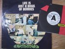 45: Rockin’ Berries:  POOR MANS SON (UK) Demo 7” / Life Is A Bowl (LP)