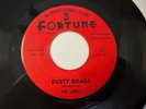 RARE Doo Wop 45 - The Lapels 