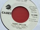 TERRY CALLIER Ordinary Joe 2009 US 7