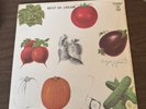 Cream:   Best Of  First Press  1969  In Shrink  W Company Inner   Ex Crisp