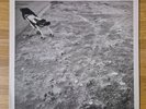 Nicolas Jaar – Space Is Only Noise (LP, 2011, Circus Company CCS055, VG/VG+)
