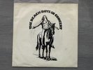 The Beach Boys In Concert - Radio Spots 45 - Monster Rare PROMO Only Item EX+