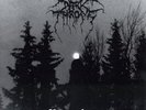 Darkthrone - Panzerfaust LP