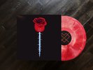 Night Club - Masochist / Vinyl LP on RED / WHITE